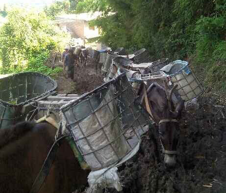 禅城区马帮搬运