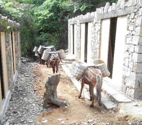 禅城区马队运输队