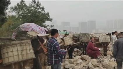 禅城区骡马山区运输