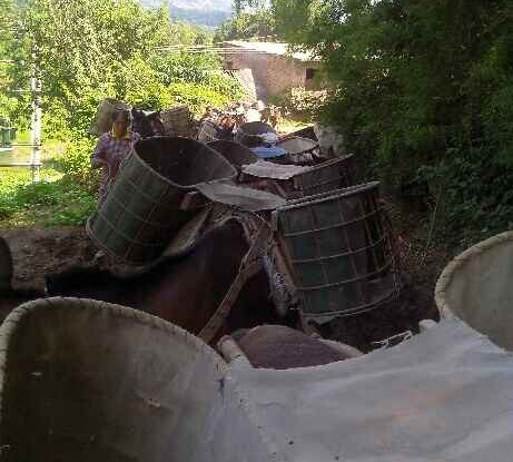 禅城区骡马运输队