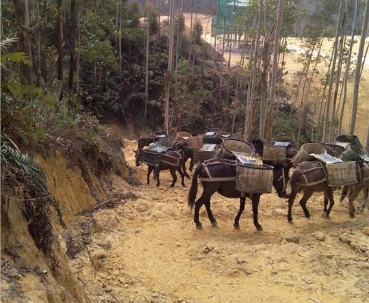 禅城区马帮山路运输