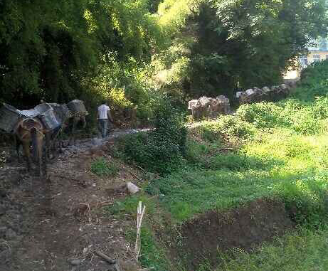 禅城区马帮运输队