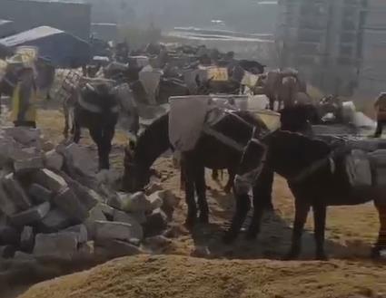 禅城区马队山路运输
