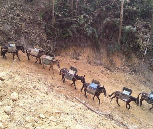 禅城区山路马帮运输