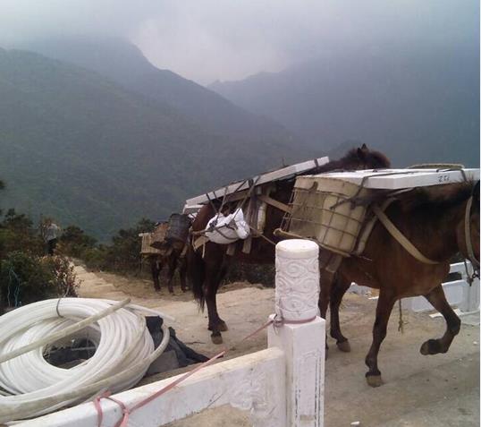 禅城区山区马帮运输